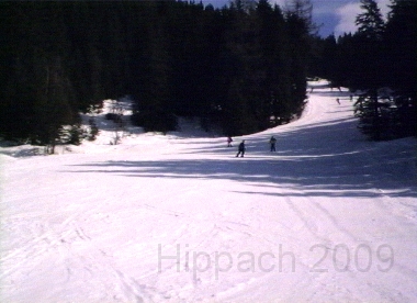 HIPP24.BMP