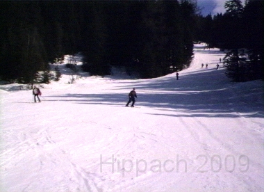 HIPP25.BMP