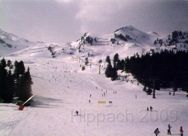 HIPP47.BMP