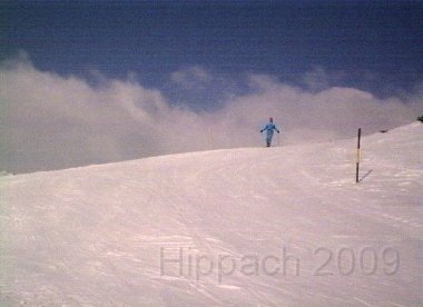 HIPP71.BMP