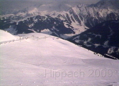HIPP80.BMP