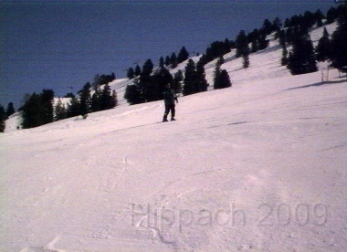 HIPP98.BMP