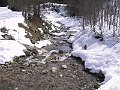 IMG_4181