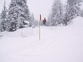 IMG_4234
