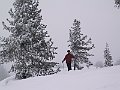 IMG_4242