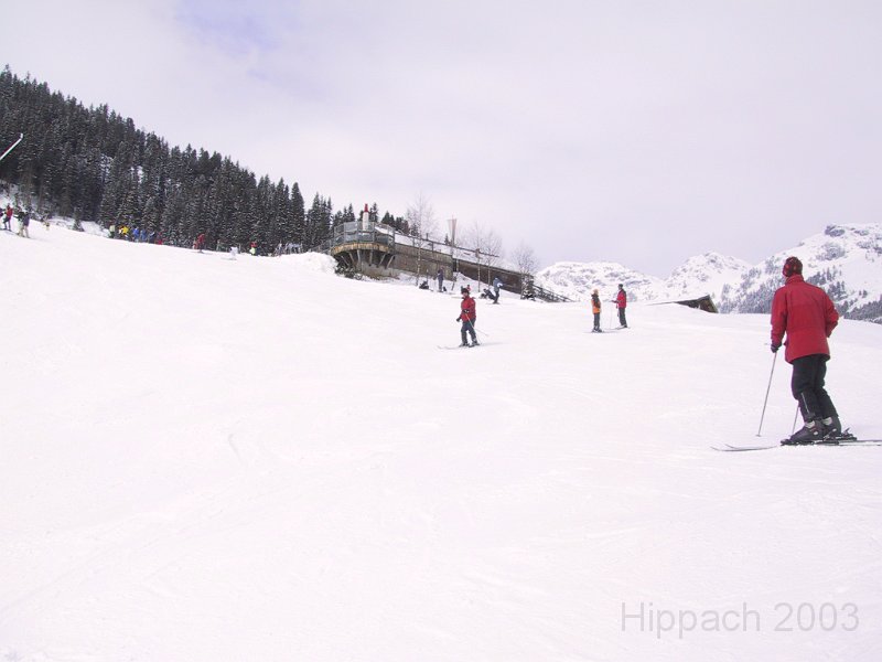 IMG_4258.JPG
