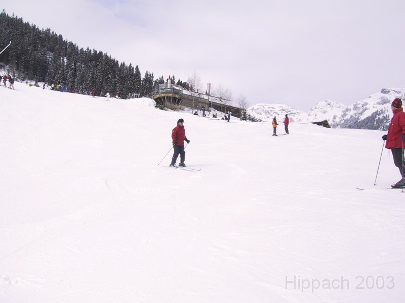 IMG_4261.JPG