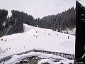 IMG_4249