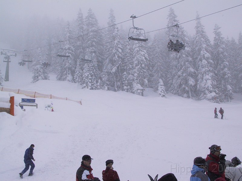 170-7061_IMG.JPG
