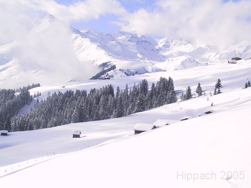 170-7085_IMG.JPG