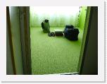 DSC05318 * 2048 x 1536 * (1.34MB)