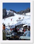 DSC05460 * 1536 x 2048 * (1.39MB)