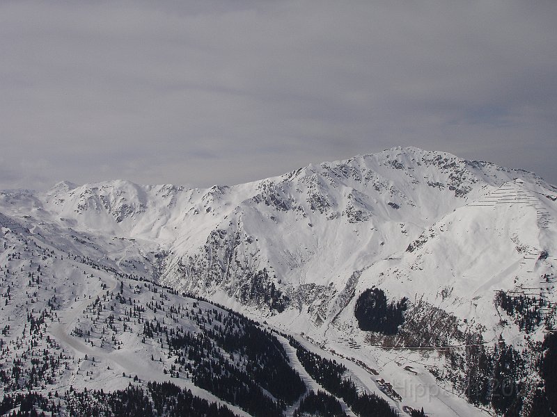 DSC06954.JPG