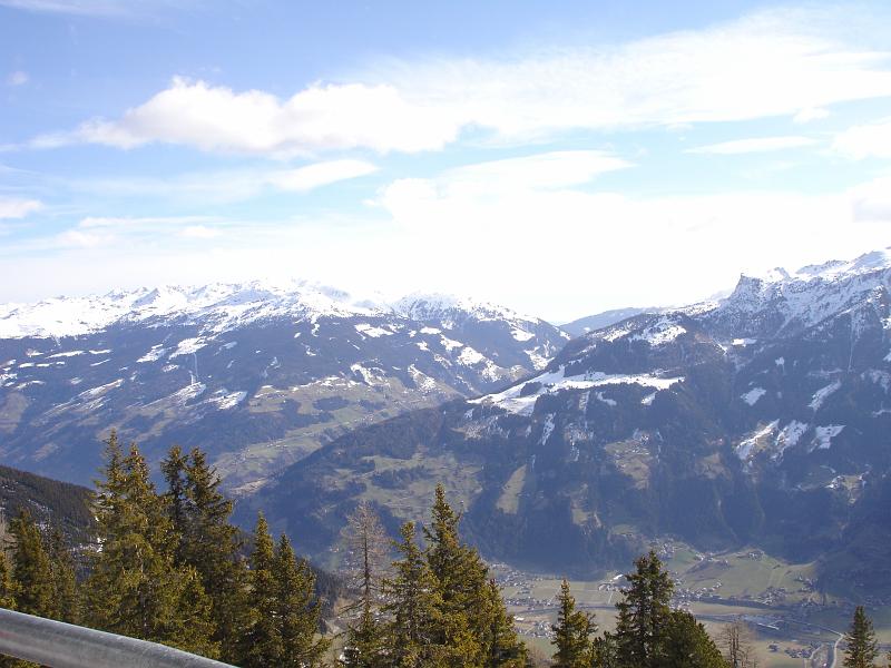 DSC08525.JPG