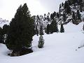 DSC08668