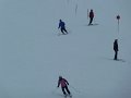 Hippach20110317_010
