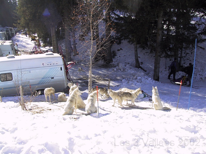 2002jan13_LTV042.JPG