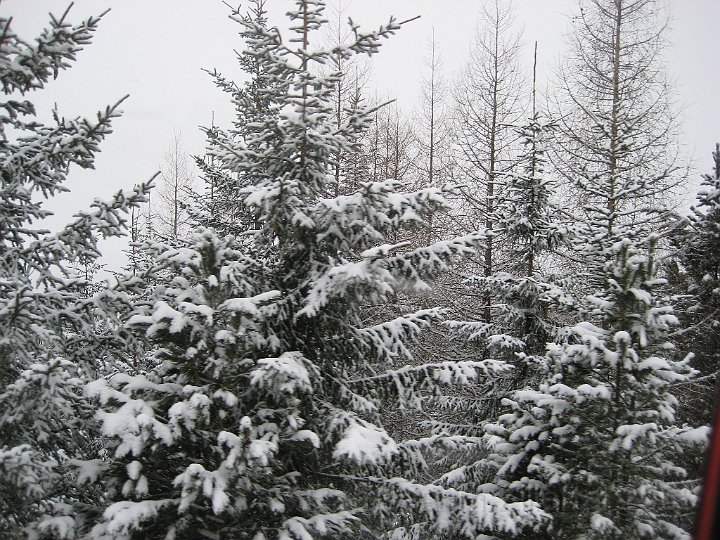 Ramsau20090306_012.jpg