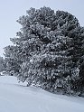 Ramsau20090306_004