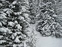Ramsau20090307_010