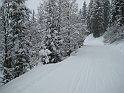 Ramsau20090307_032