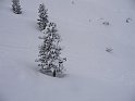 Ramsau20090307_078